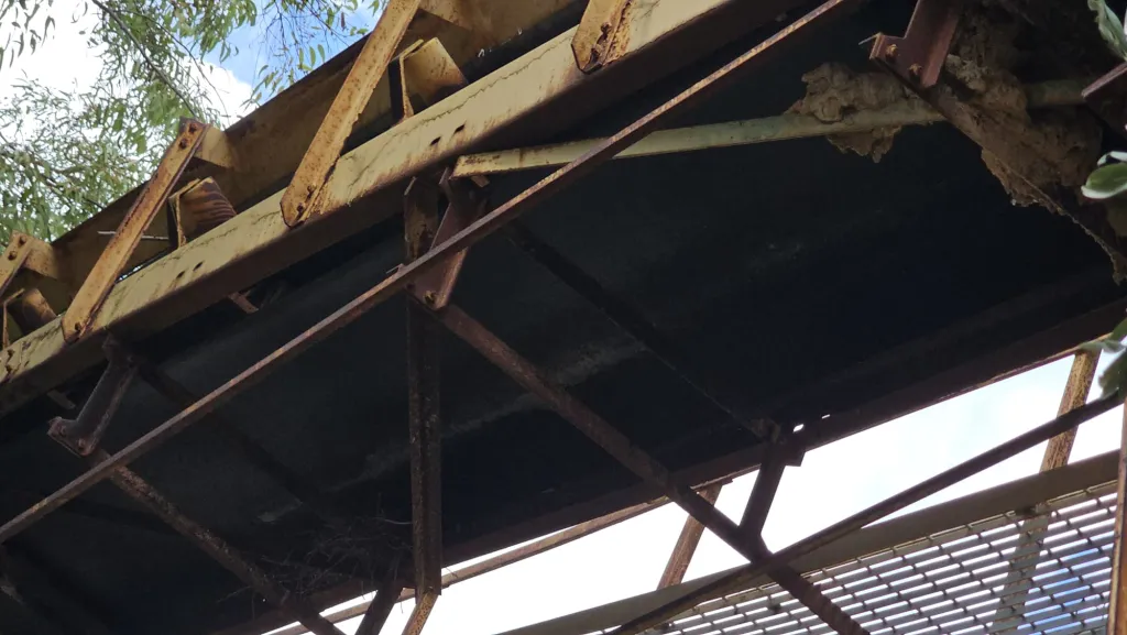 nastro trasportatore usato dettaglio 2